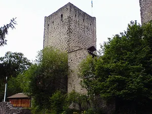 Burg Sulzberg