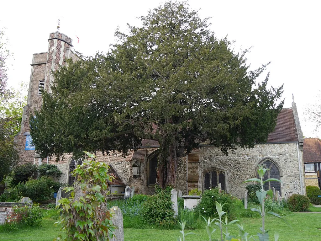St Mary's, Barnes, London