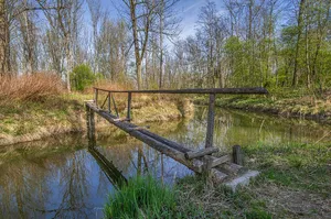 Schutz der Donauauen östlich der Stadt Neuburg in der Stadt Neuburg und den Gemeinden Weichering und Bergheim, Landkreis Neuburg sowie des Gebietes Branst in der Gemeinde Weichering als LSG