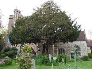 St Mary's Church, Barnes