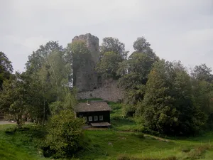 Burgruine Waldau (Baumgruppe, Ahorne, Kiefern,etc)
