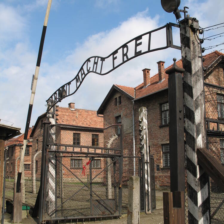 Auschwitz Birkenau German Nazi Concentration and Extermination Camp (1940-1945)