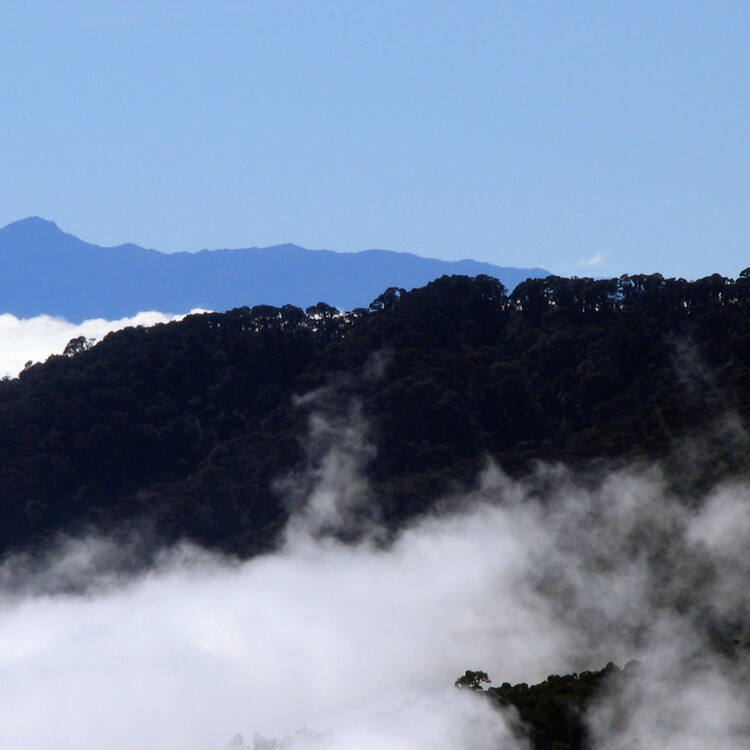 Talamanca Range-La Amistad Reserves / La Amistad National Park