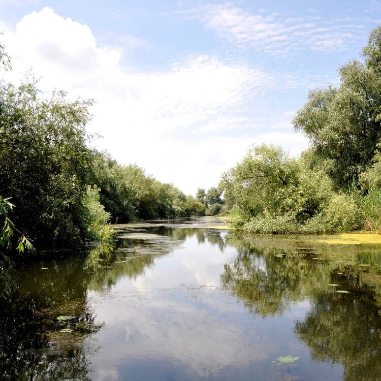 Danube Delta