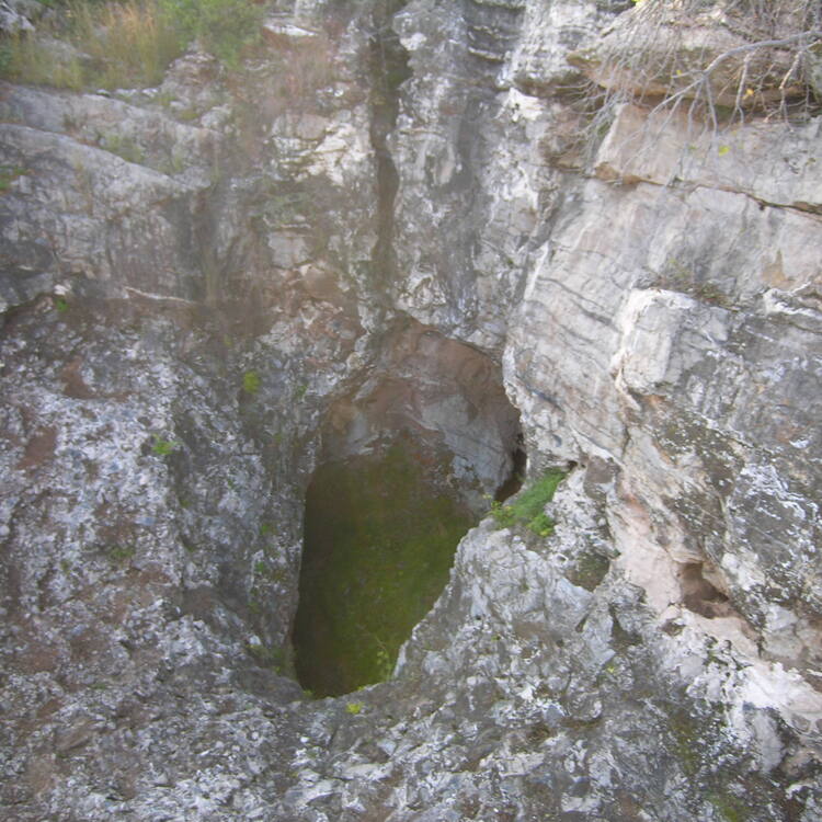 Fossil Hominid Sites of South Africa