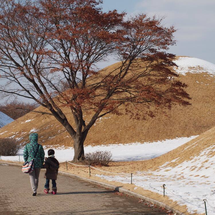 Gyeongju Historic Areas