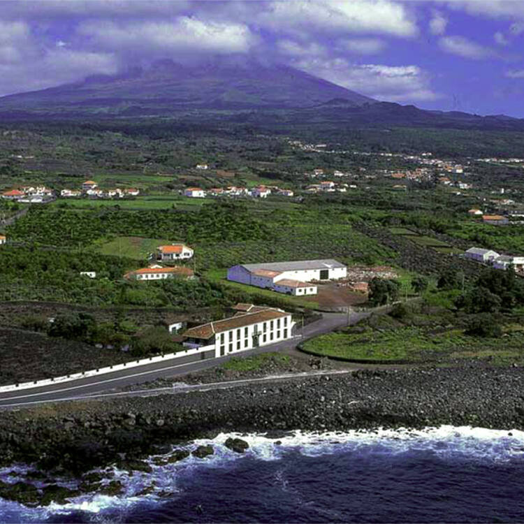 Landscape of the Pico Island Vineyard Culture