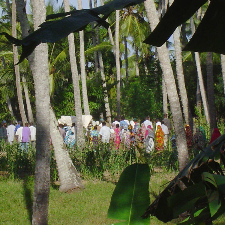 Sacred Mijikenda Kaya Forests