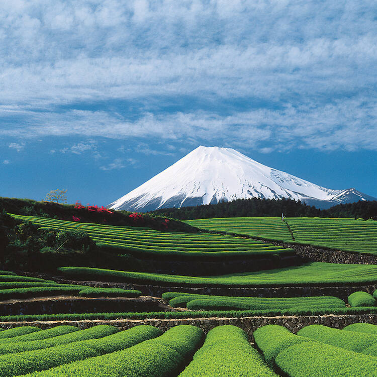 Fujisan, sacred place and source of artistic inspiration