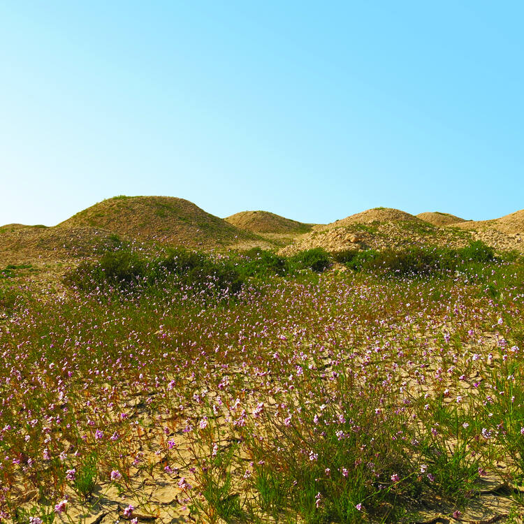 Dilmun Burial Mounds