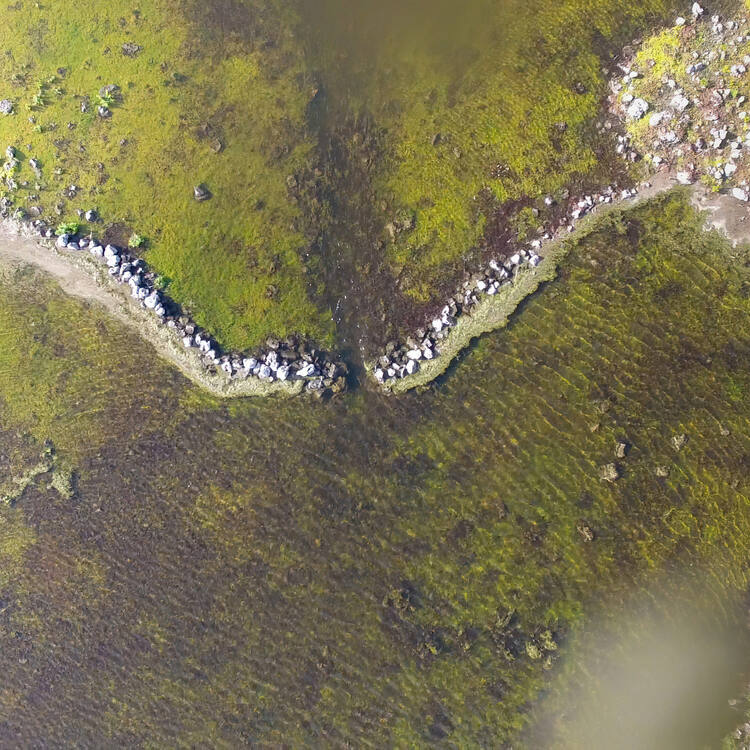 Budj Bim Cultural Landscape