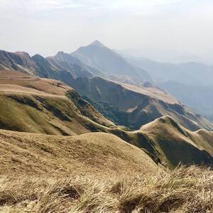 Mount Nimba Strict Nature Reserve