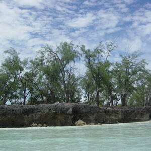 Aldabra Atoll