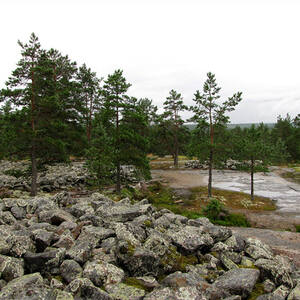Bronze Age Burial Site of Sammallahdenmäki