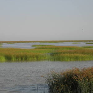 Doñana National Park