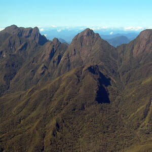 Rainforests of the Atsinanana